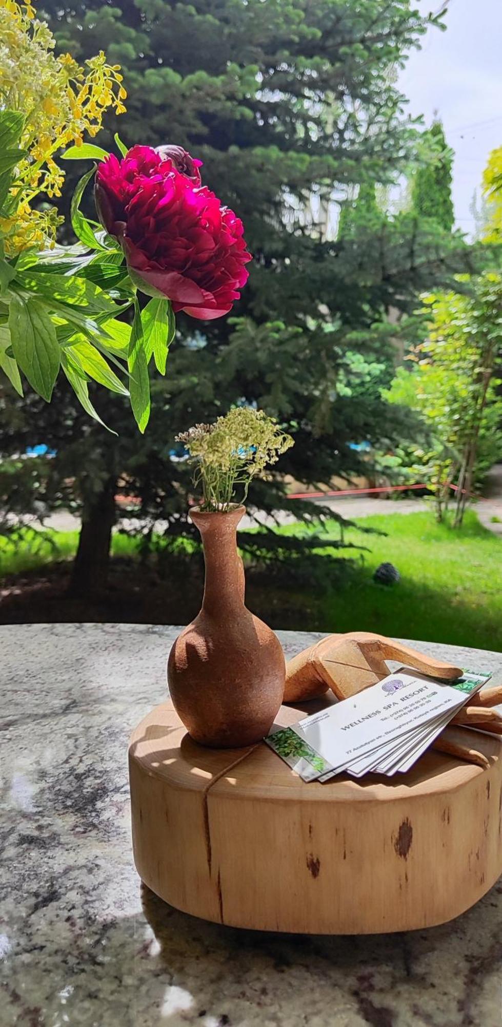 Aya Maria Wellness Spa Resort Dzoraghp'yur Ngoại thất bức ảnh